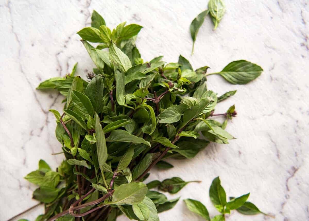 An authentic Thai Chilli Basil Chicken recipe, just like what you get from the best Thai restaurants! dev.recipetineats.com