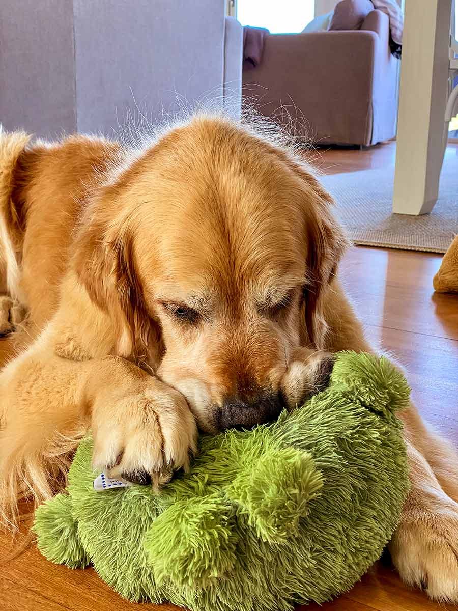 Dozer green toy
