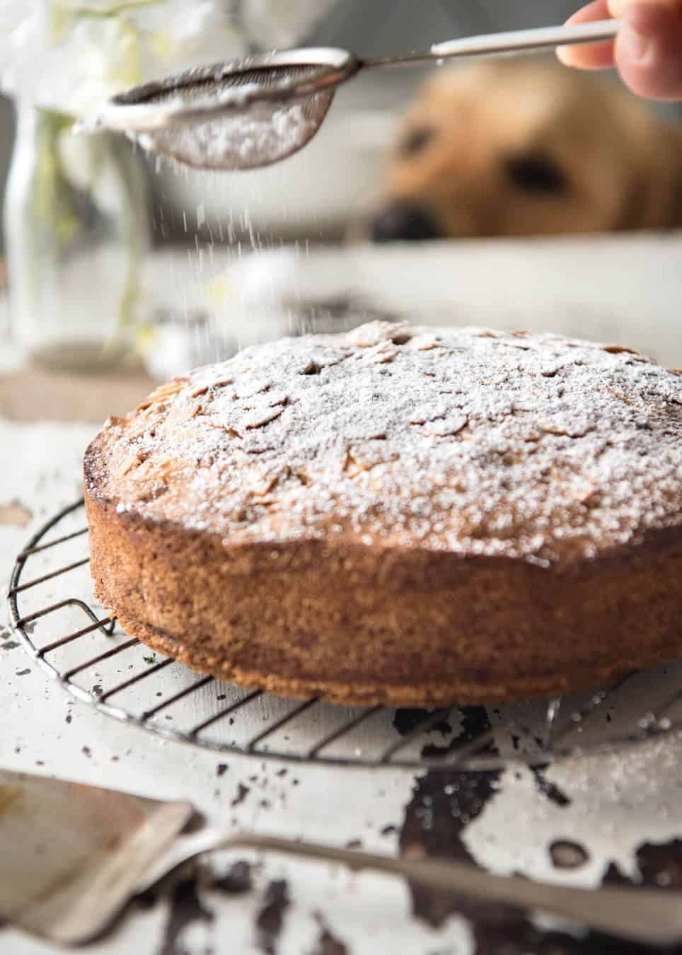 Hands down, the easiest and BEST Apple Cake recipe you will ever try! Made with fresh apples, no electric mixer required to make this beautiful moist cake. dev.recipetineats.com
