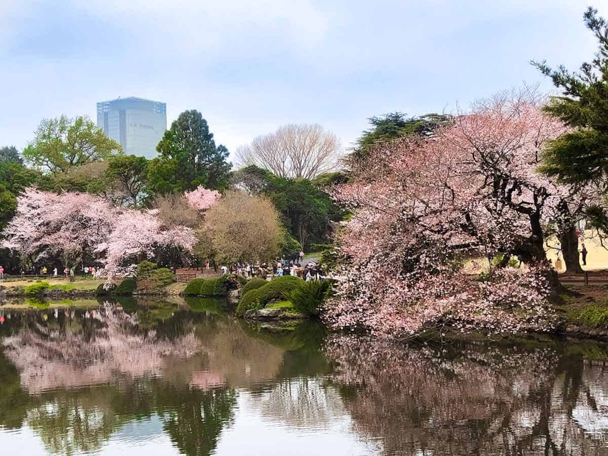 Shinjuku Gyoen&nbsp;(or Shinjuku Gyoen National Garden)