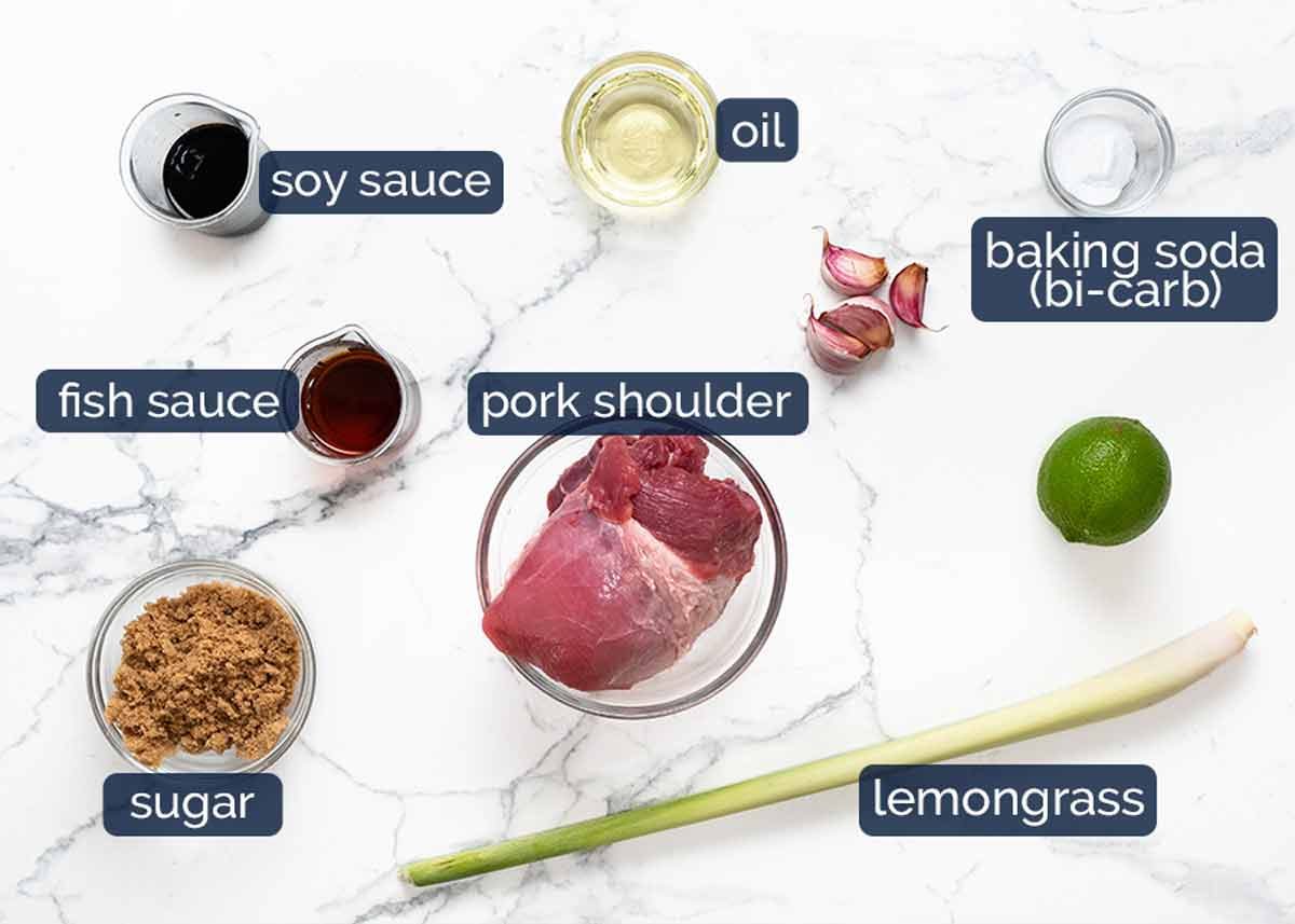 Ingredients in Vietnamese noodles with lemongrass pork (B&uacute;n thịt nướng)