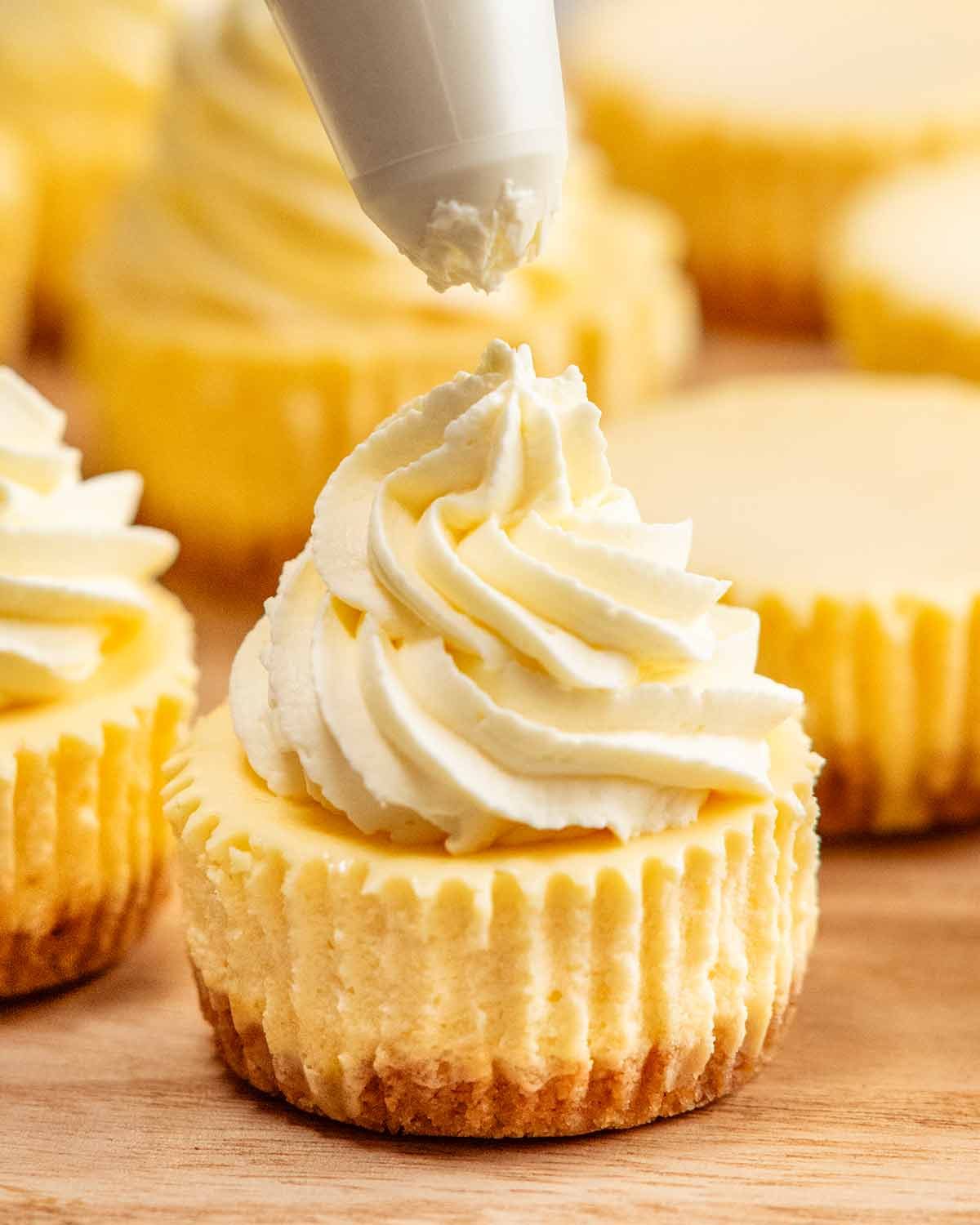 Stabilised whipped cream on Mini Cheesecakes