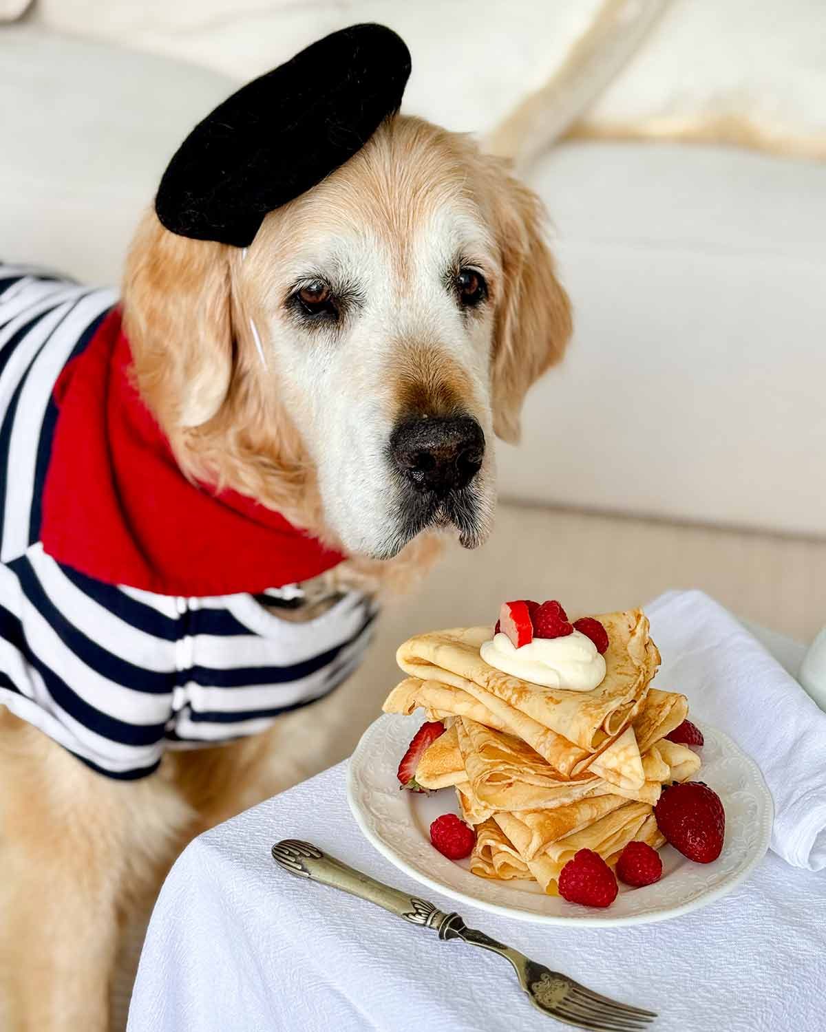 Dozer cr&ecirc;pes