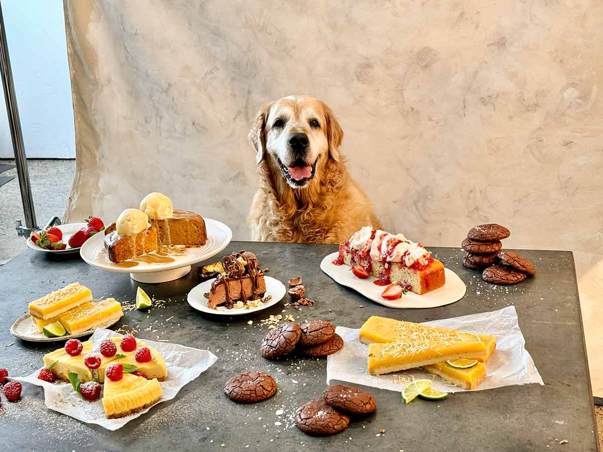 Dozer-sweet-monster