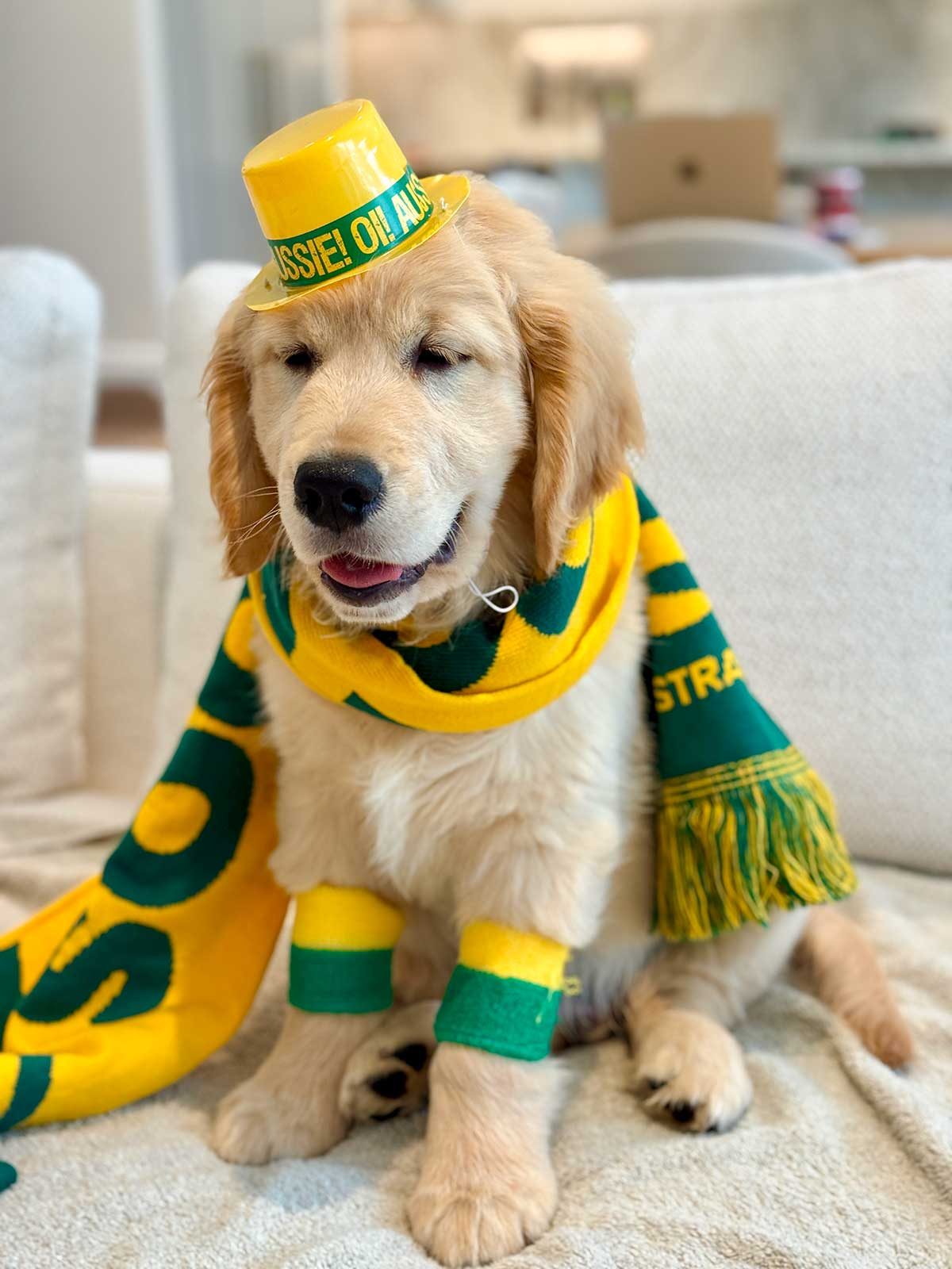 Jaffle World Cup Go Australia!