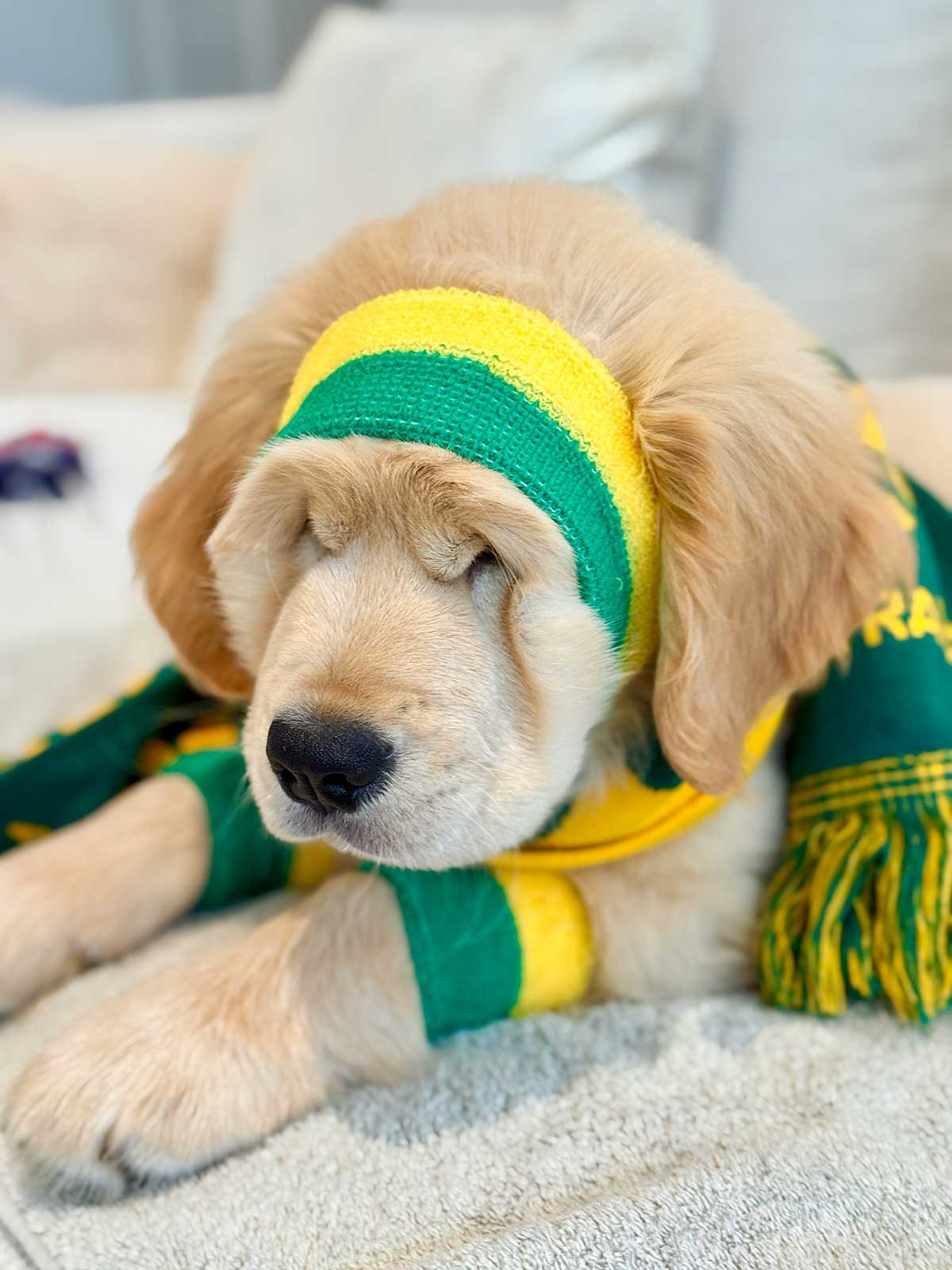 Jaffle World Cup Go Australia!